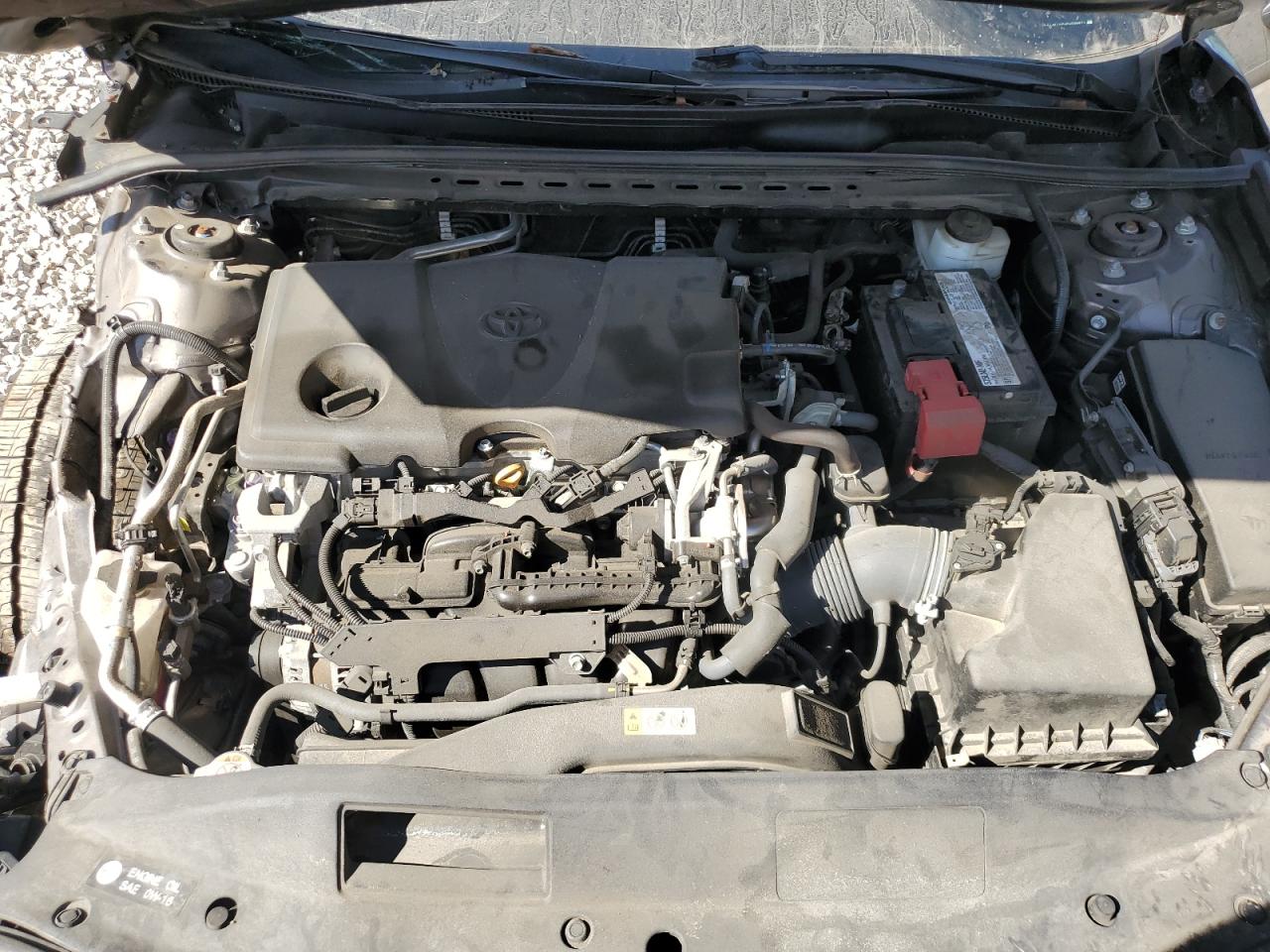 2019 Toyota Camry L VIN: 4T1B11HKXKU699811 Lot: 81971645