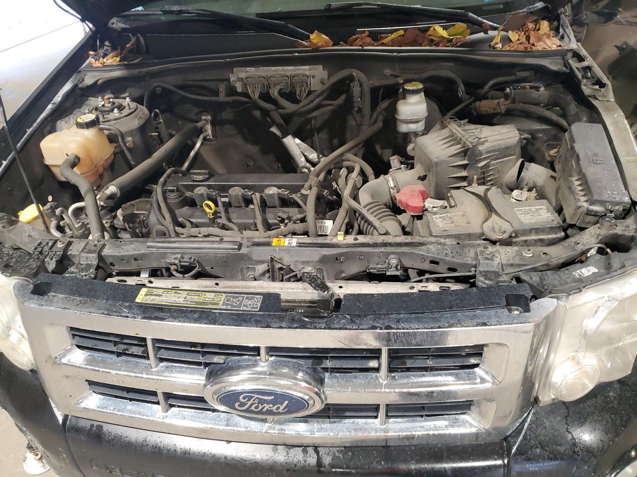 2010 Ford Escape Xlt VIN: 1FMCU0D72AKA10538 Lot: 82406825