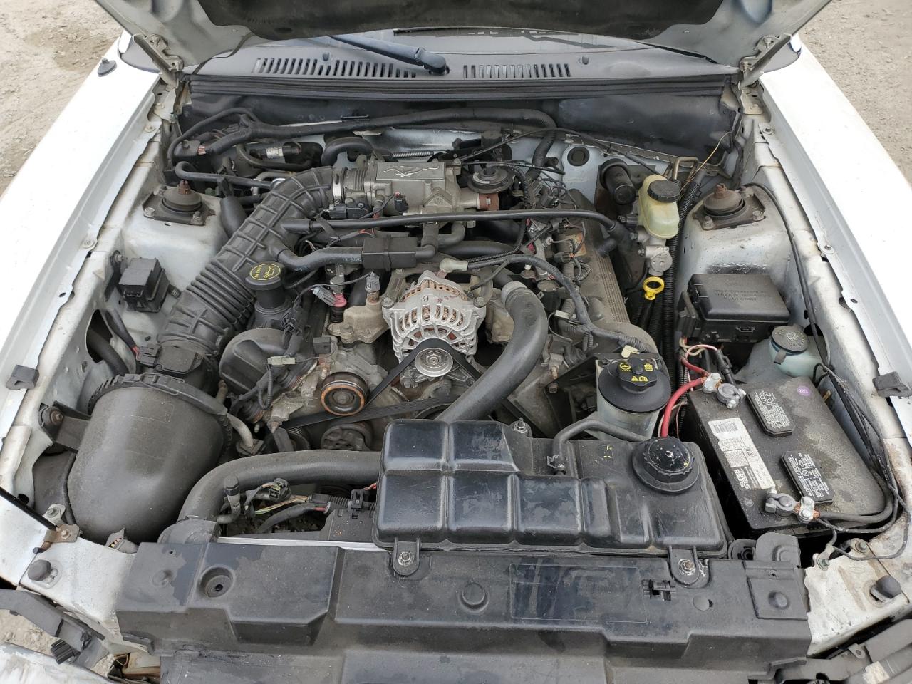 2004 Ford Mustang Gt VIN: 1FAFP45X04F107884 Lot: 81931215