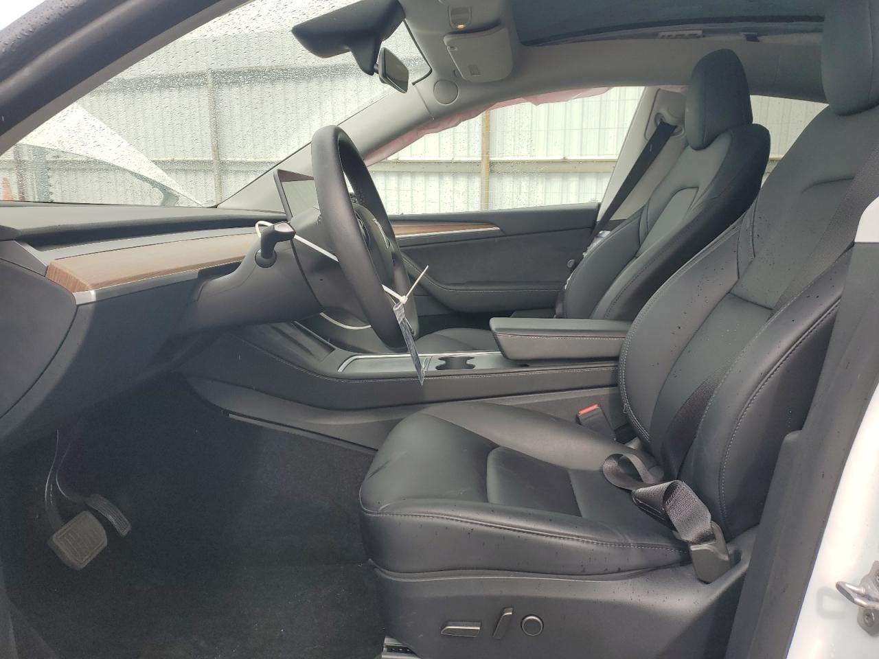 2024 Tesla Model Y VIN: 7SAYGDEE3RF031559 Lot: 86495325