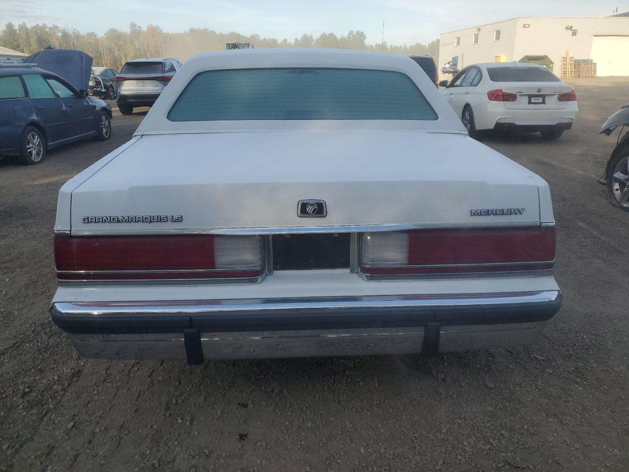 1991 Mercury Grand Marquis Ls VIN: 2MECM75F7MX656161 Lot: 85704175