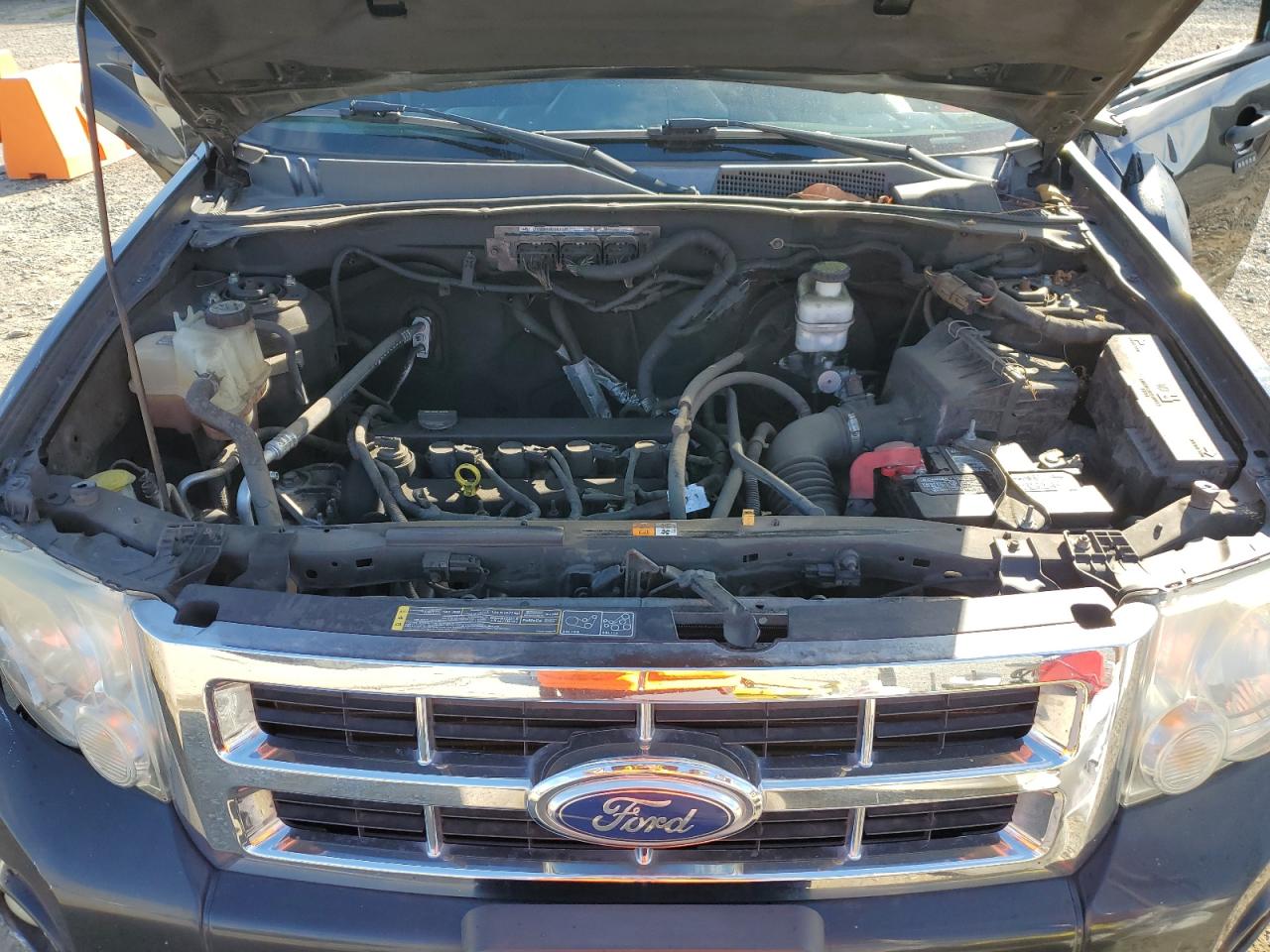 2011 Ford Escape Xlt VIN: 1FMCU0D73BKB73099 Lot: 81999675