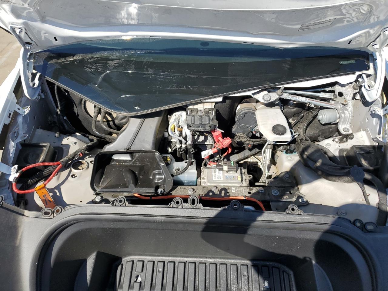 2023 Tesla Model Y VIN: 7SAYGDEE0PF834732 Lot: 85883095