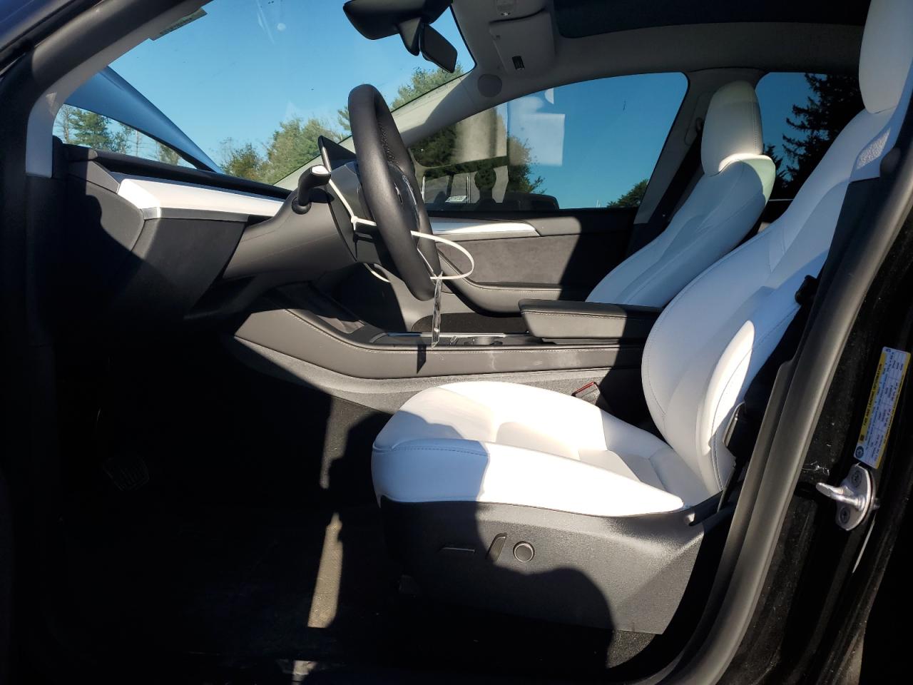 2024 Tesla Model Y VIN: 7SAYGDEE6RF149735 Lot: 85710545