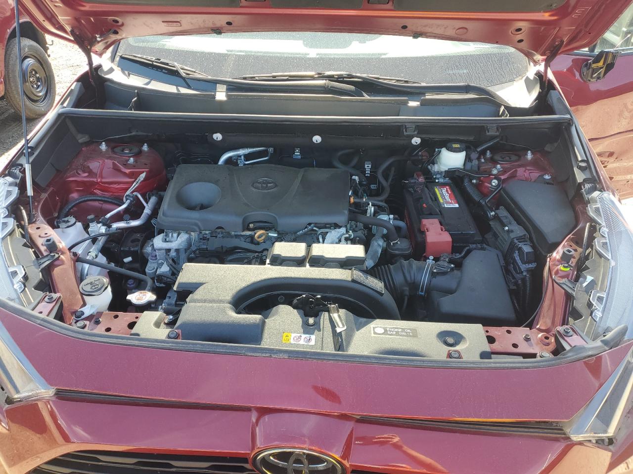 2021 Toyota Rav4 Le VIN: 2T3F1RFV3MC145650 Lot: 84810275