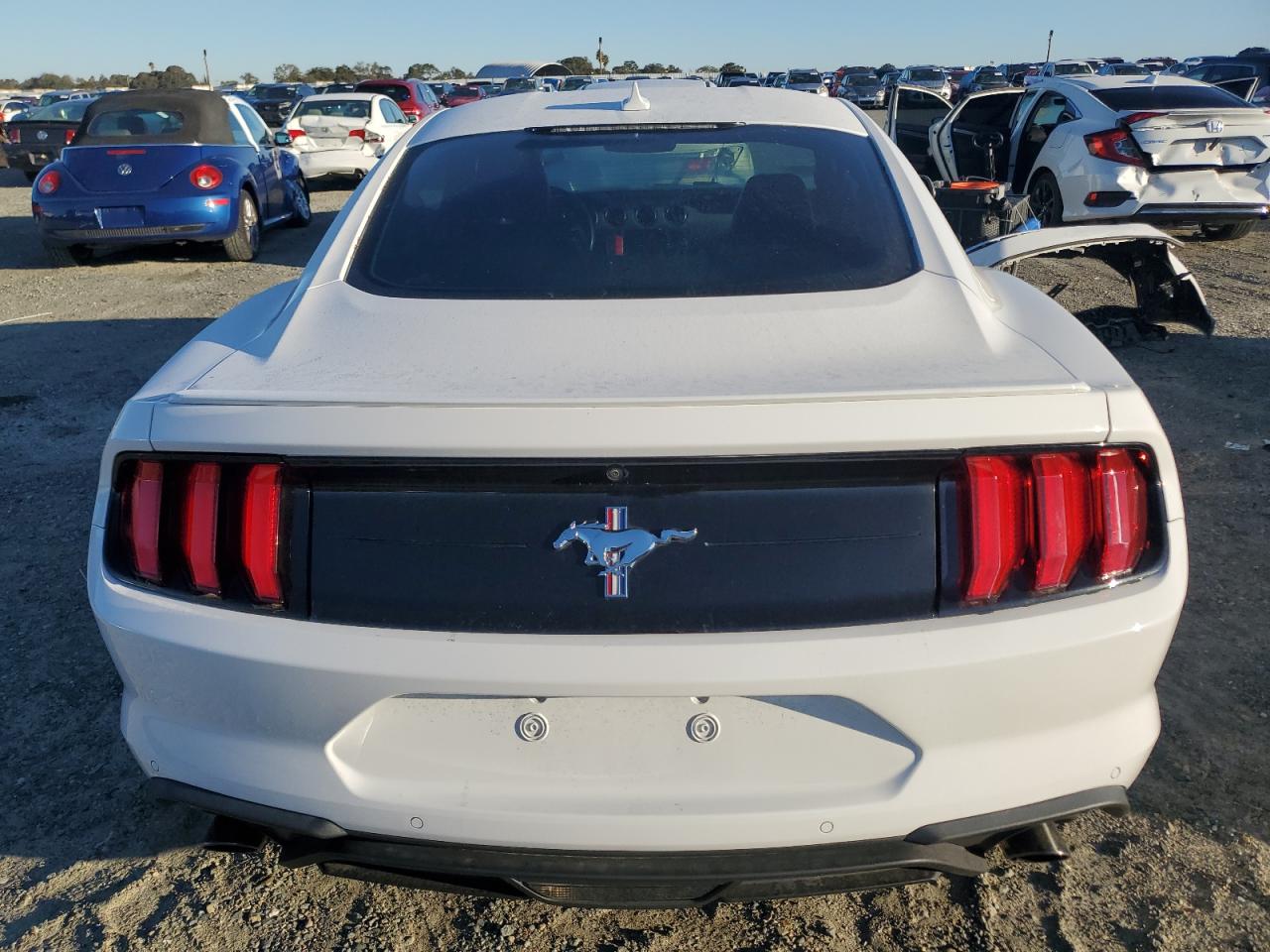 2020 Ford Mustang VIN: 1FA6P8TH1L5186845 Lot: 82209565
