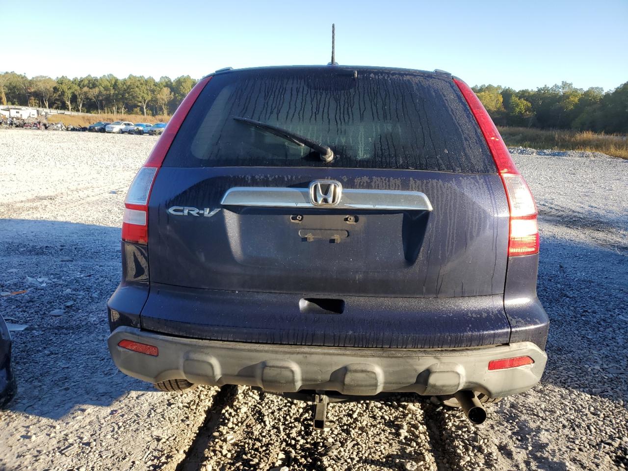 2007 Honda Cr-V Exl VIN: JHLRE38737C072415 Lot: 85500245