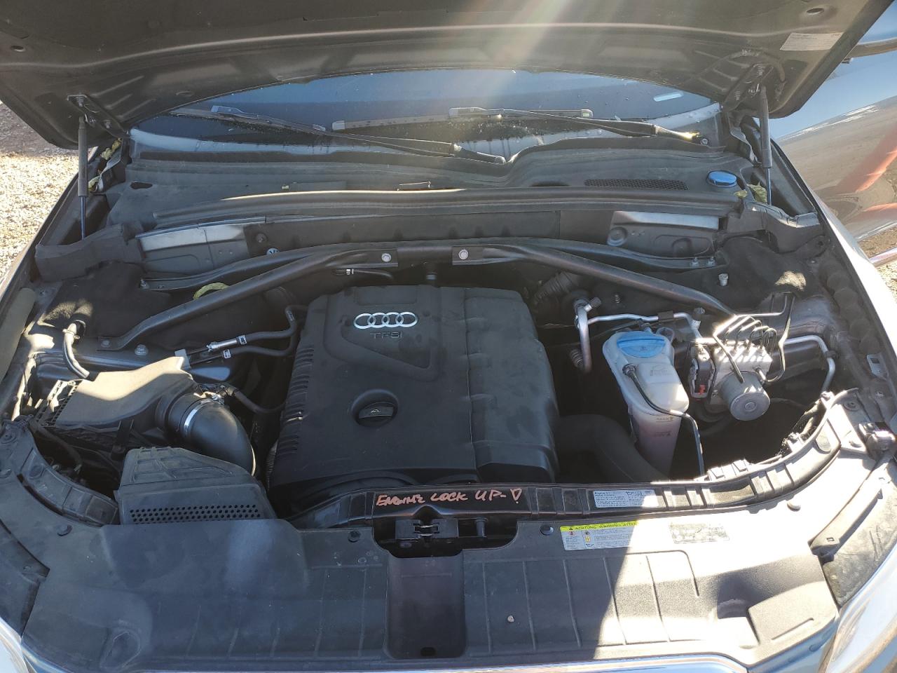 2014 Audi Q5 Premium Plus VIN: WA1LFAFP3EA119288 Lot: 90475795