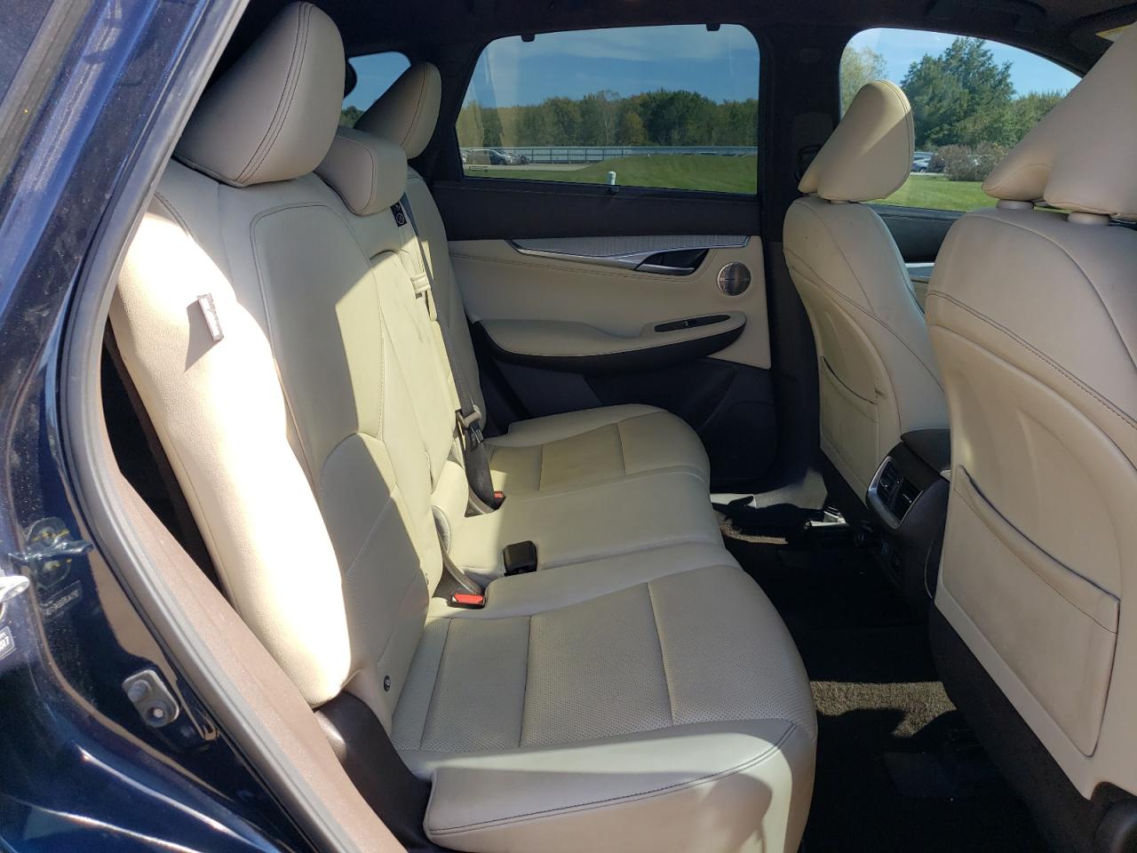 2021 Infi Qx50 Autograph VIN: 3PCAJ5DB5MF110317 Lot: 82198435