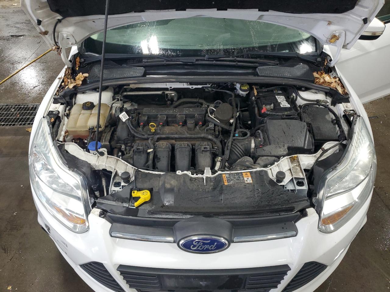 2014 Ford Focus Se VIN: 1FADP3K20EL431754 Lot: 85940635