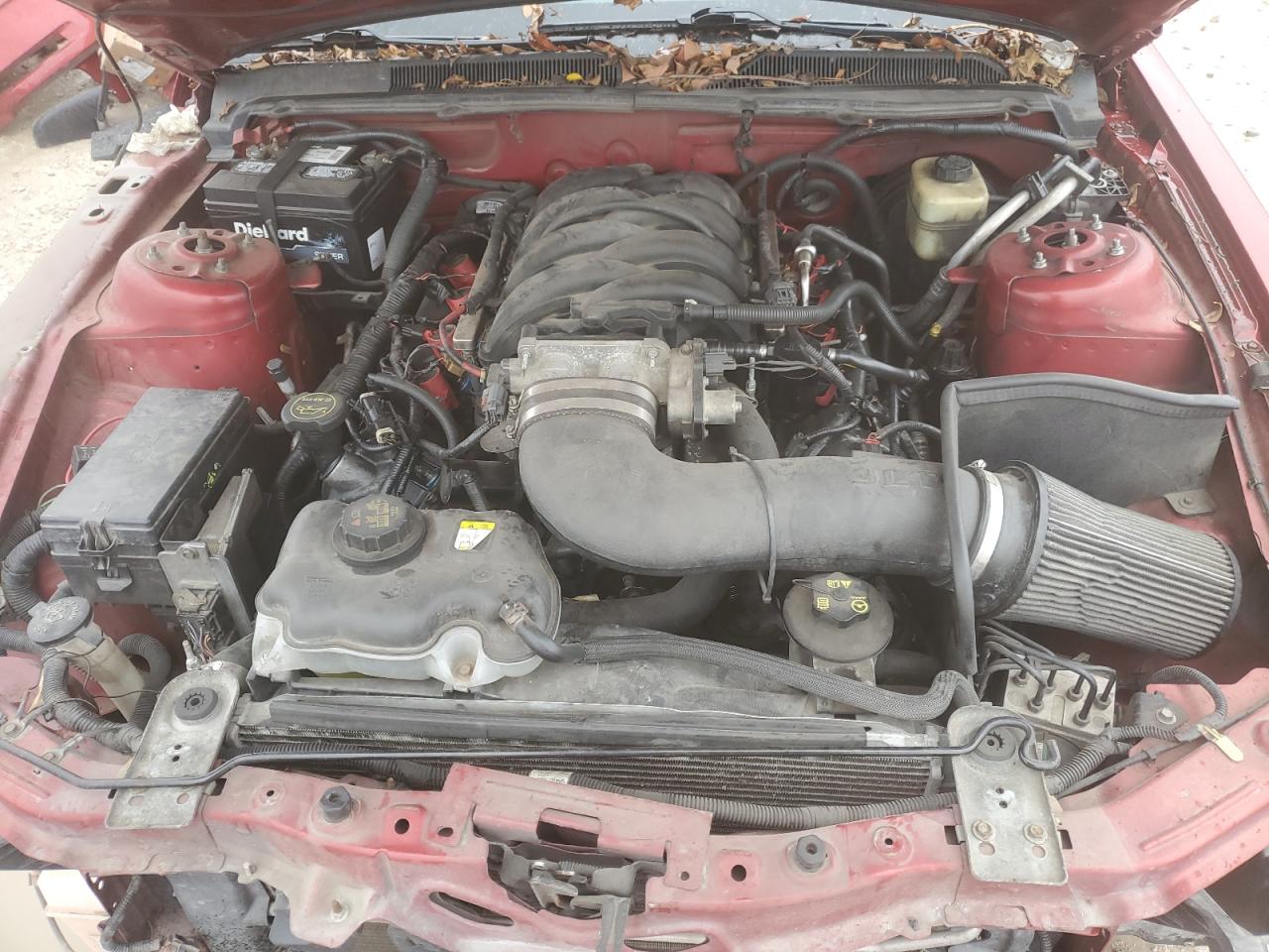 2008 Ford Mustang Gt VIN: 1ZVHT82H285101788 Lot: 90345055