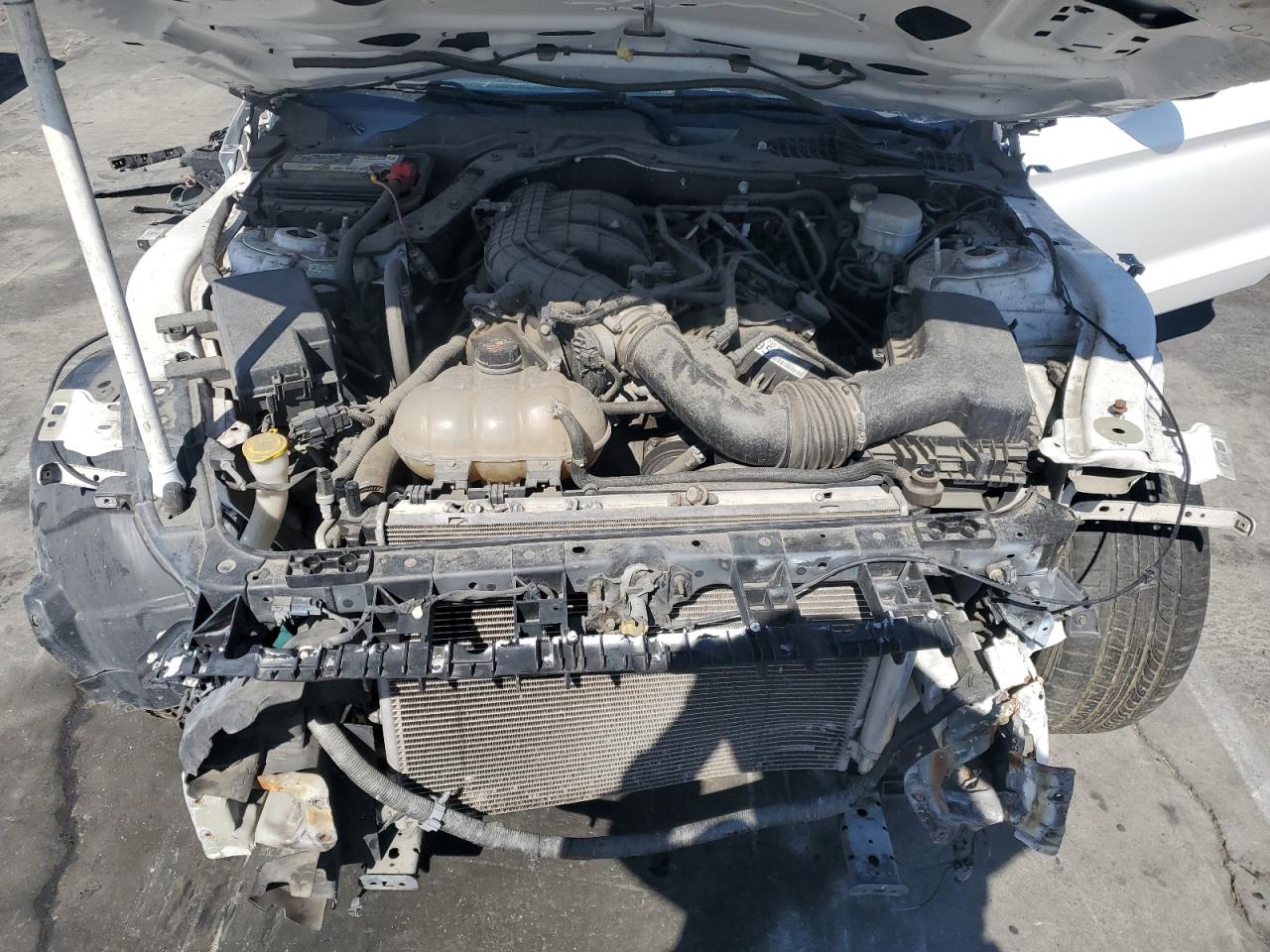 2016 Ford Mustang VIN: 1FA6P8AM1G5292055 Lot: 87458435