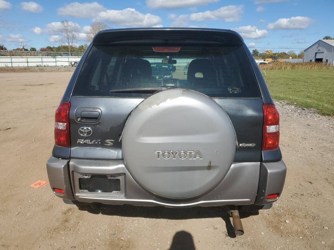 2004 Toyota Rav4 VIN: JTEHD20V246001437 Lot: 82489115