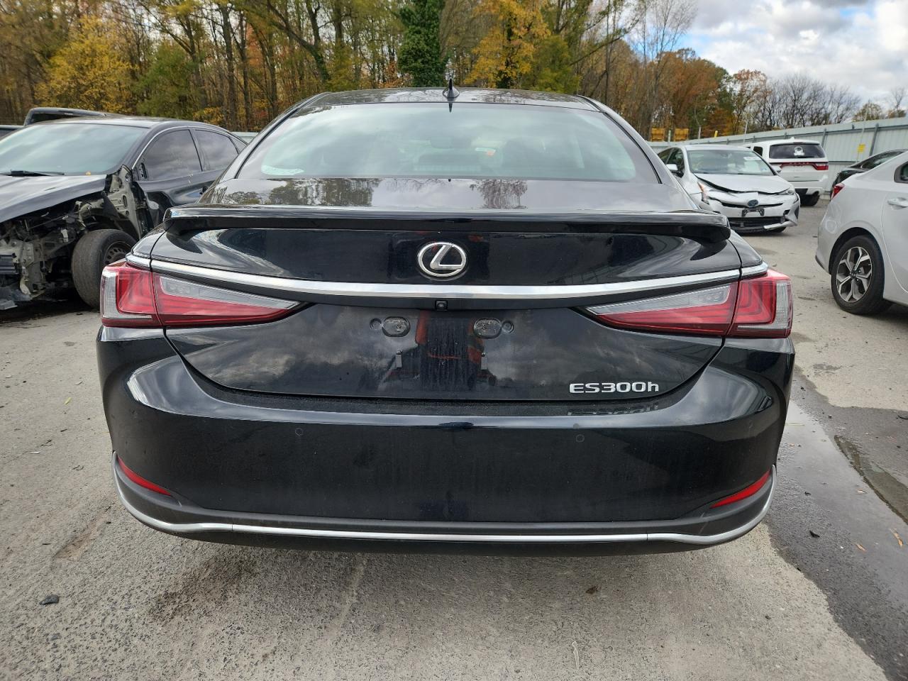 2024 Lexus Es 300H Base VIN: 58ADA1C11RU044494 Lot: 90793235