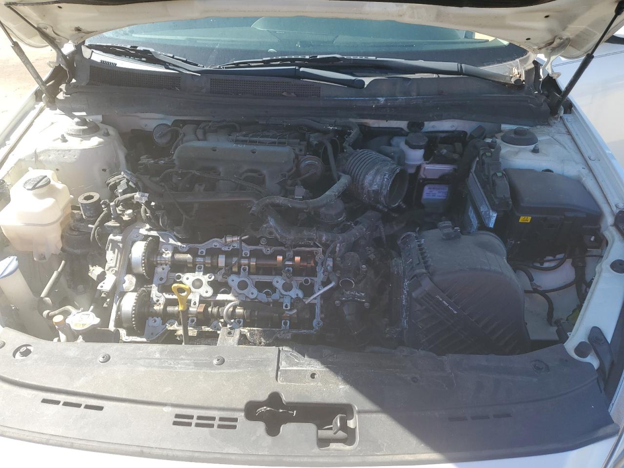 2014 Kia Cadenza Premium VIN: KNALN4D70E5157791 Lot: 82489405