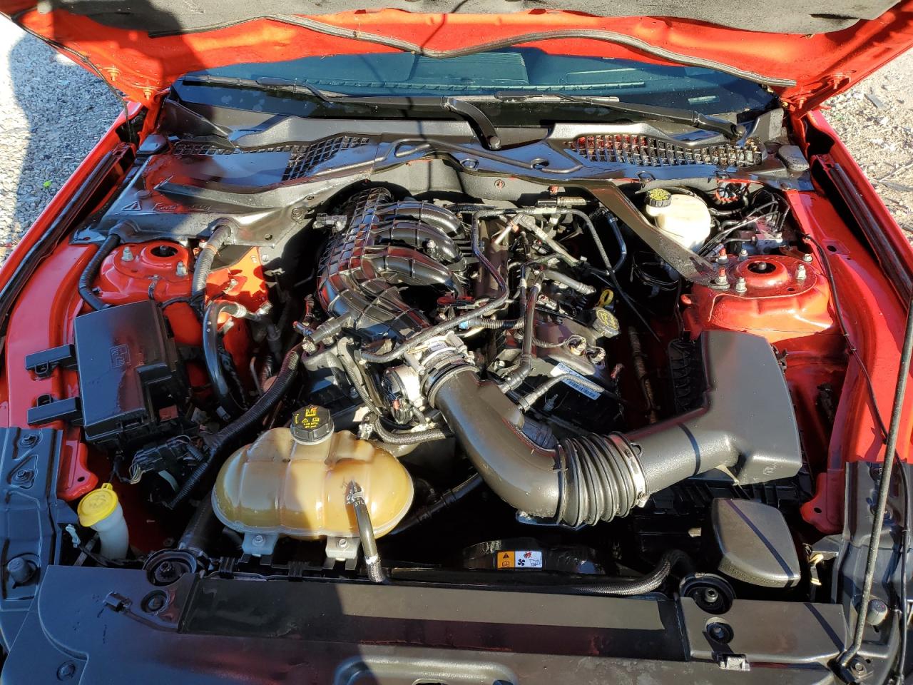 2015 Ford Mustang VIN: 1FATP8EM9F5372098 Lot: 87370155