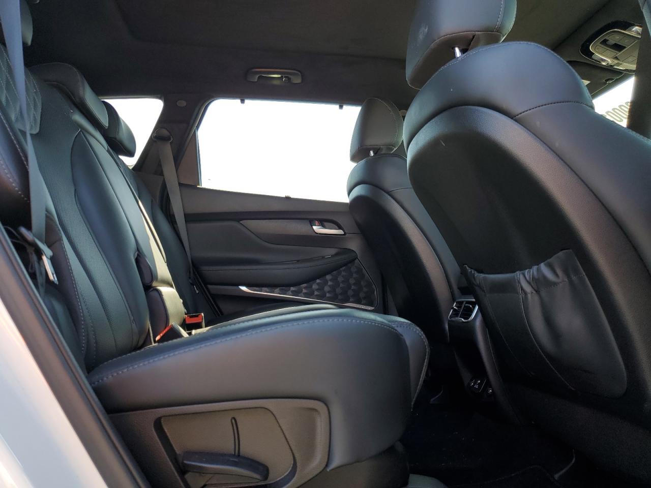 2023 Hyundai Santa Fe Calligraphy VIN: 5NMS5DAL6PH520255 Lot: 82090035