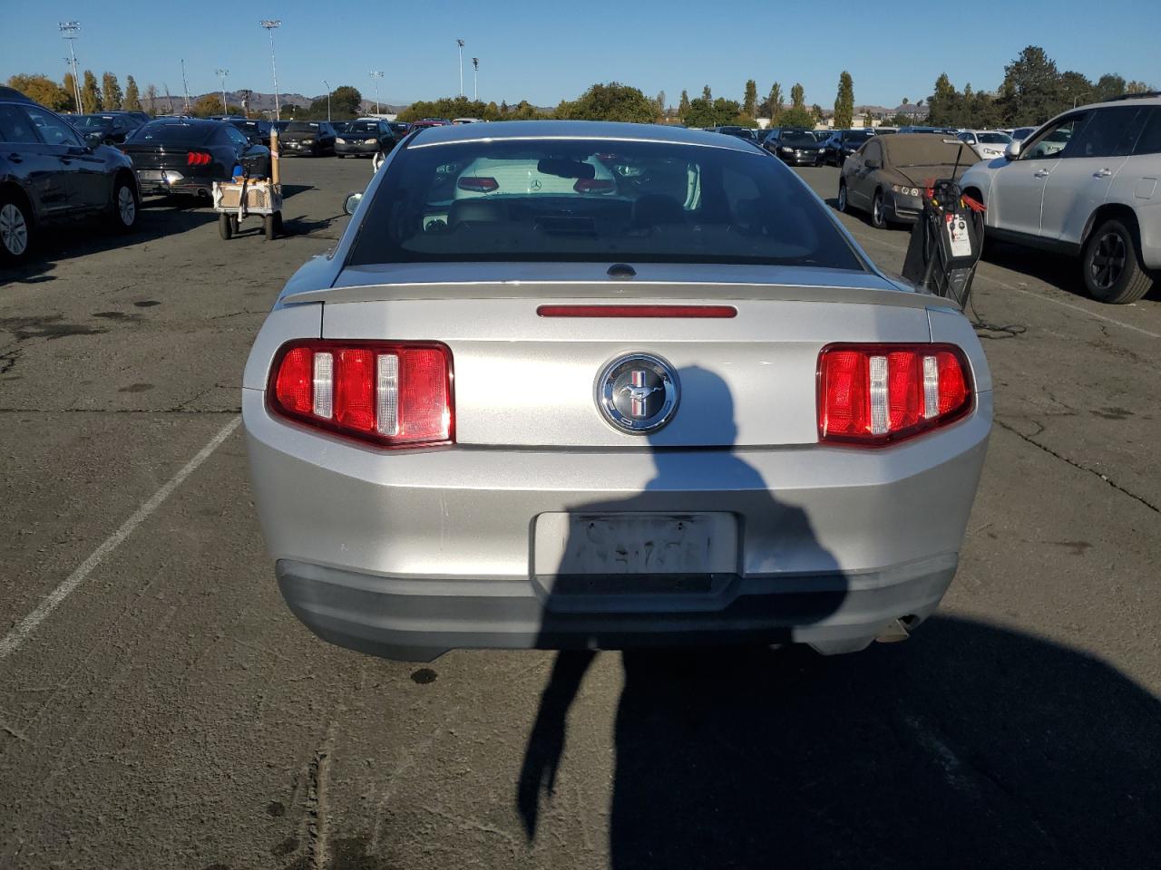 2010 Ford Mustang VIN: 1ZVBP8AN6A5135675 Lot: 82609505