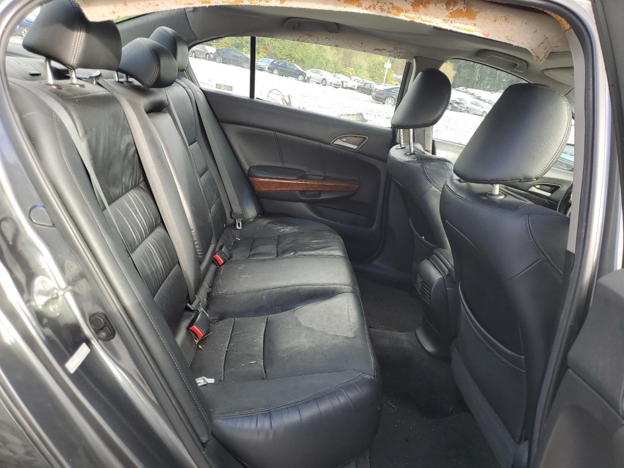 2011 Honda Accord Exl VIN: 1HGCP2F84BA035723 Lot: 81955925