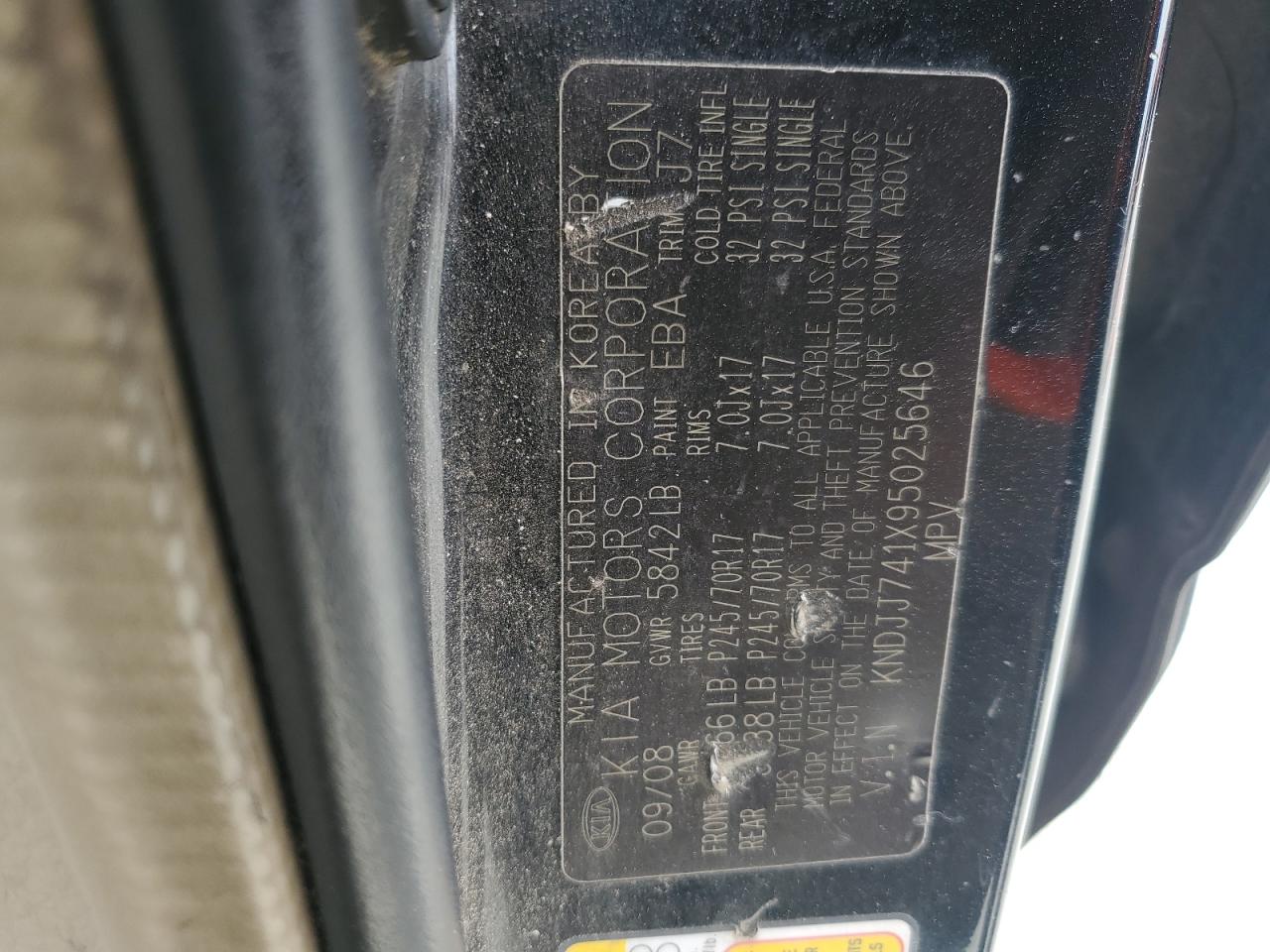 2009 Kia Borrego Lx VIN: KNDJJ741X95025646 Lot: 82380895