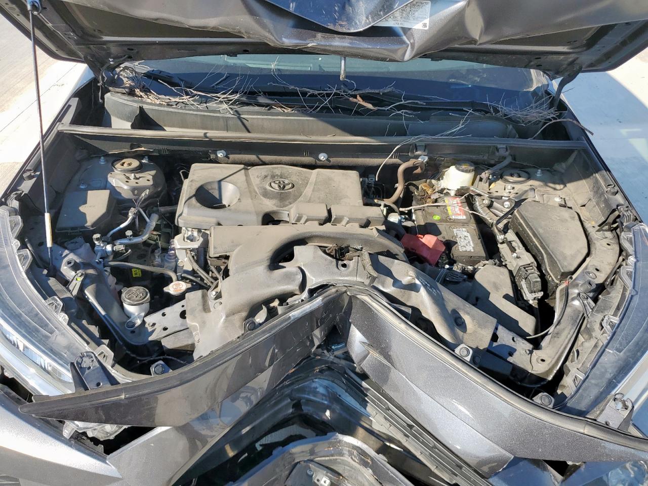 2021 Toyota Rav4 Xle Premium VIN: 2T3C1RFV0MC096149 Lot: 82182975