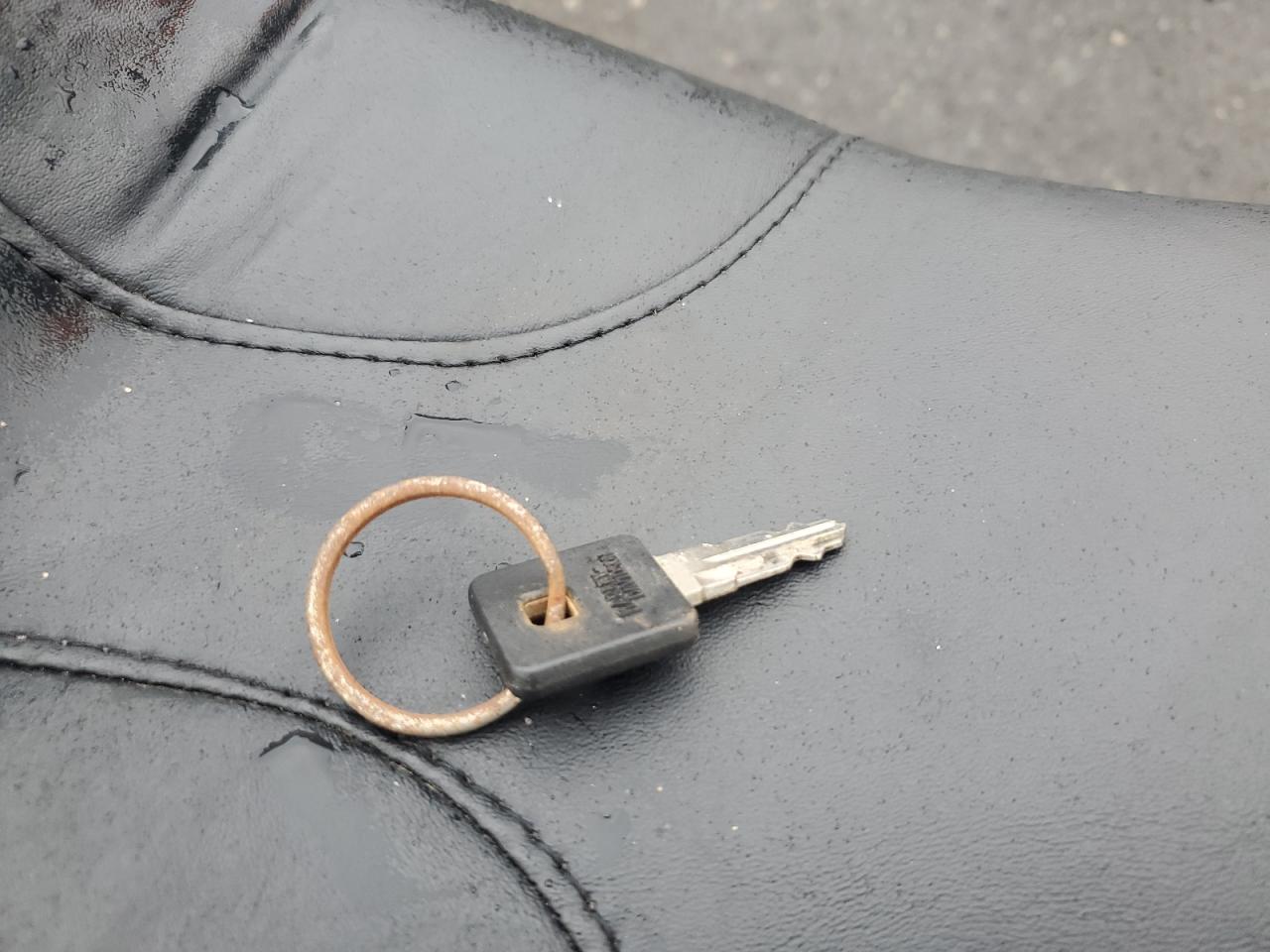 1997 Harley-Davidson Xl1200 C VIN: 1HD1CGP11VY224968 Lot: 84925745