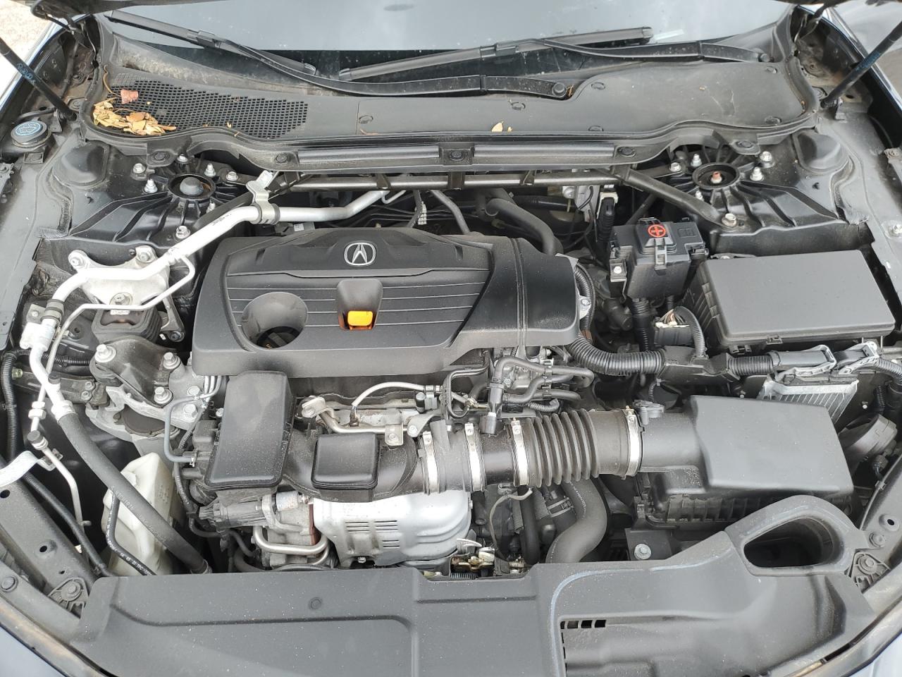 2021 Acura Tlx VIN: 19UUB5F37MA012500 Lot: 84994755