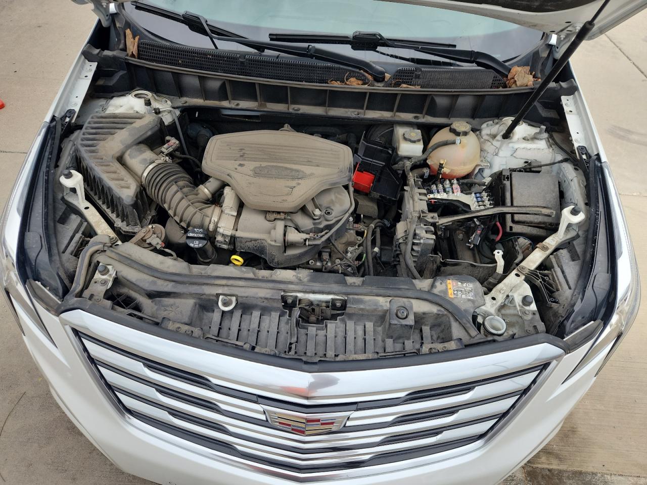 2019 Cadillac Xt5 Luxury VIN: 1GYKNCRS3KZ178381 Lot: 89883425