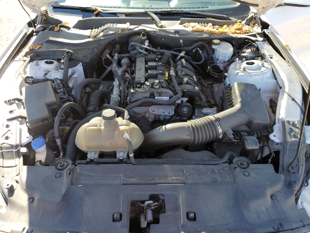 2021 Ford Mustang VIN: 1FA6P8TH1M5115985 Lot: 82544945