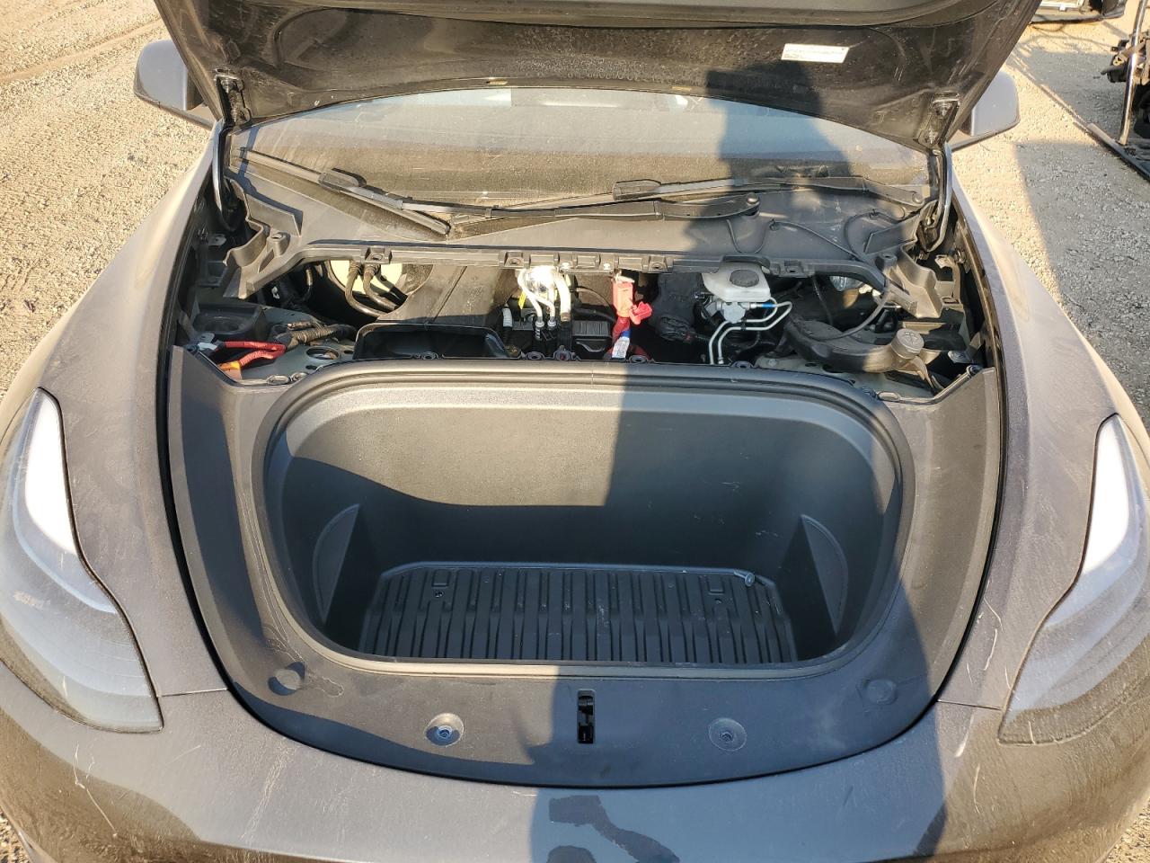 2025 Tesla Model Y VIN: 7SAYGAEE2SF218229 Lot: 84790895