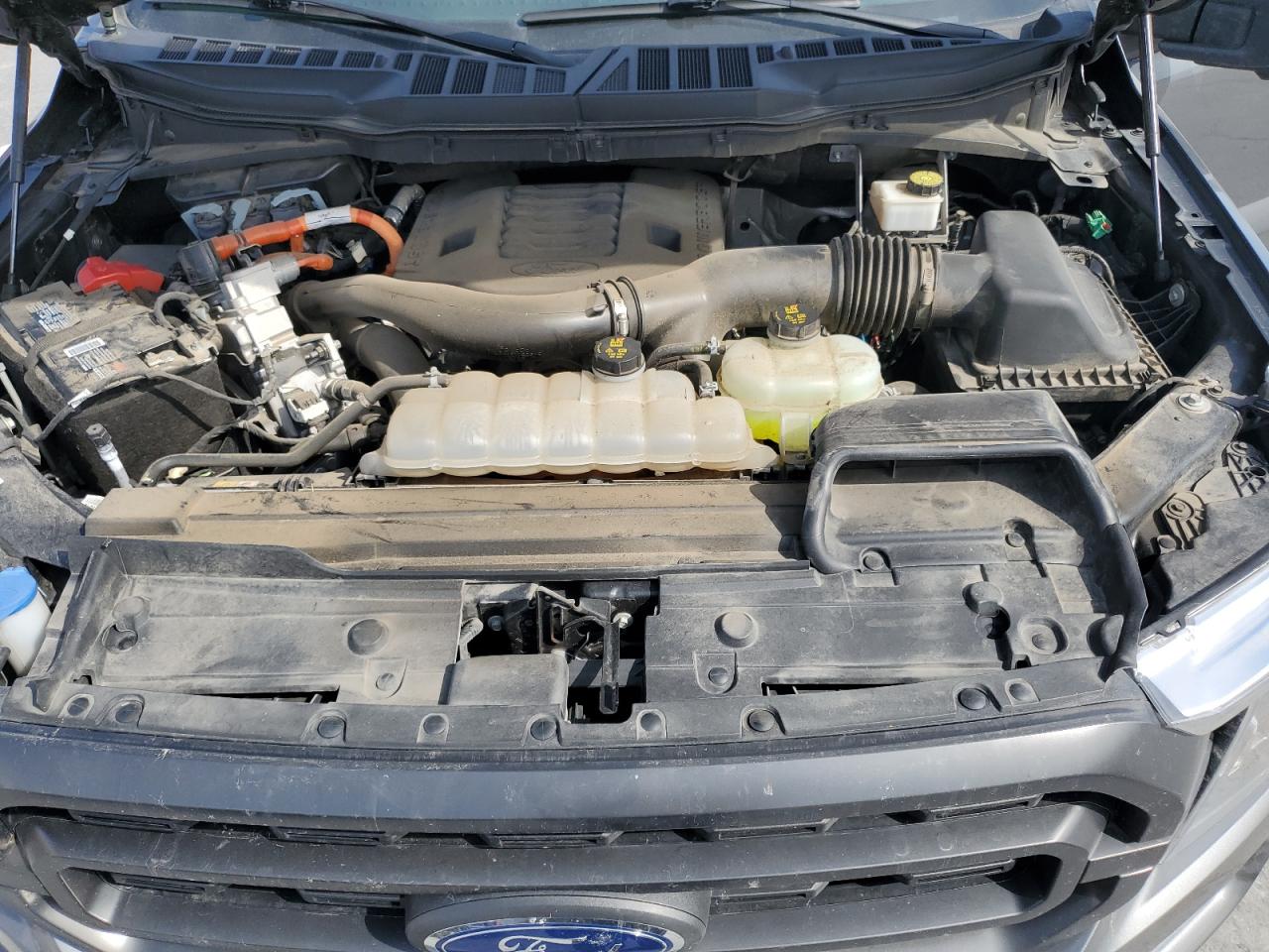 2023 Ford F150 Supercrew VIN: 1FTFW1ED4PFD07625 Lot: 81965615