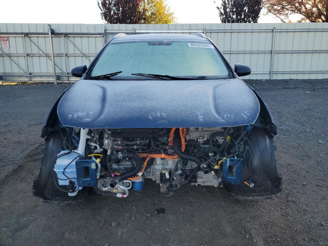 2019 Kia Niro Fe VIN: KNDCB3LC2K5244804 Lot: 89505905