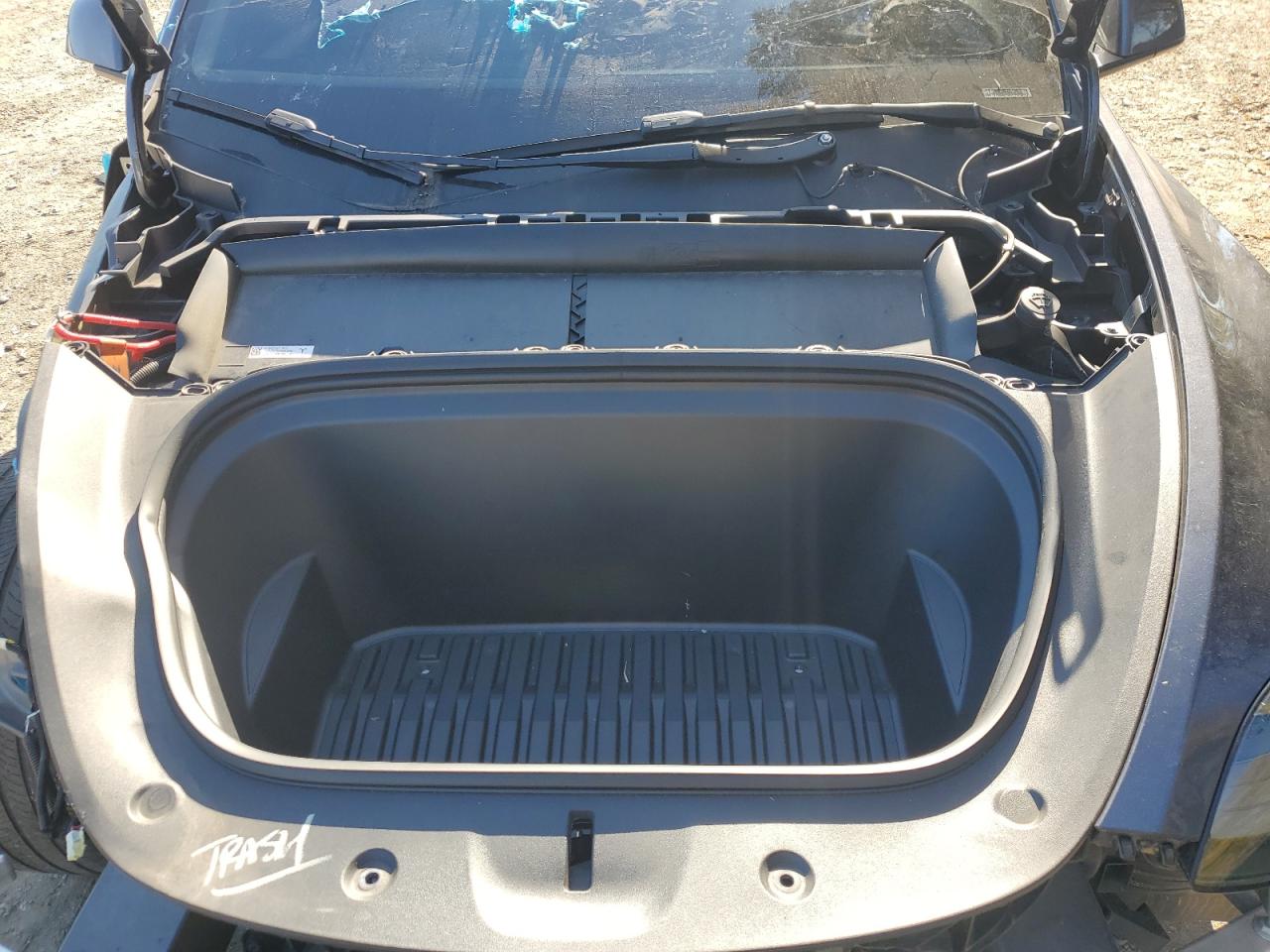 2023 Tesla Model Y VIN: 7SAYGDEE4PA213099 Lot: 86671035