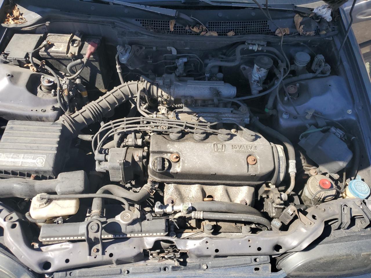 1995 Honda Civic Lx VIN: 1HGEG8555SL044356 Lot: 84183845