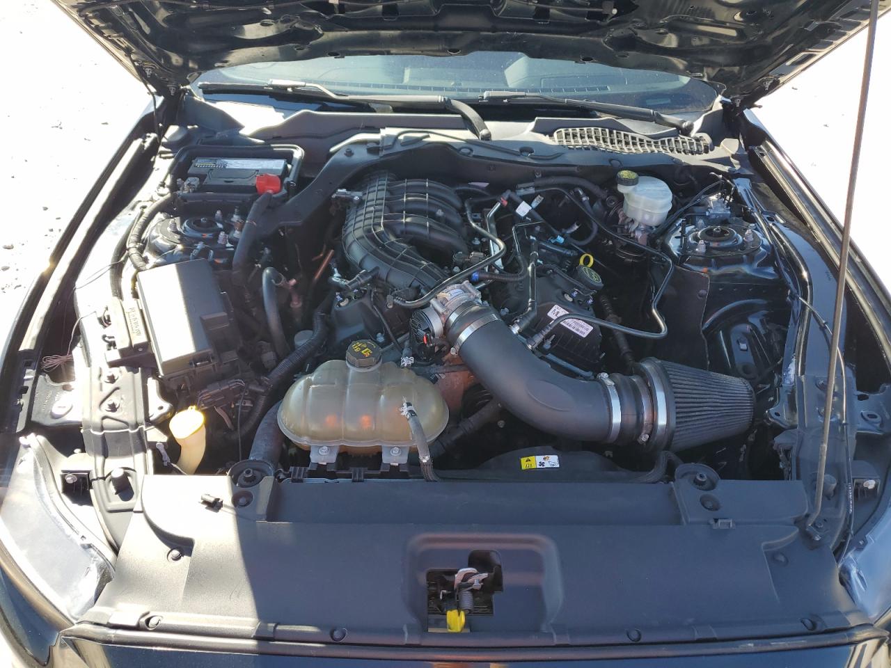 2017 Ford Mustang VIN: 1FA6P8AM9H5255918 Lot: 85943755