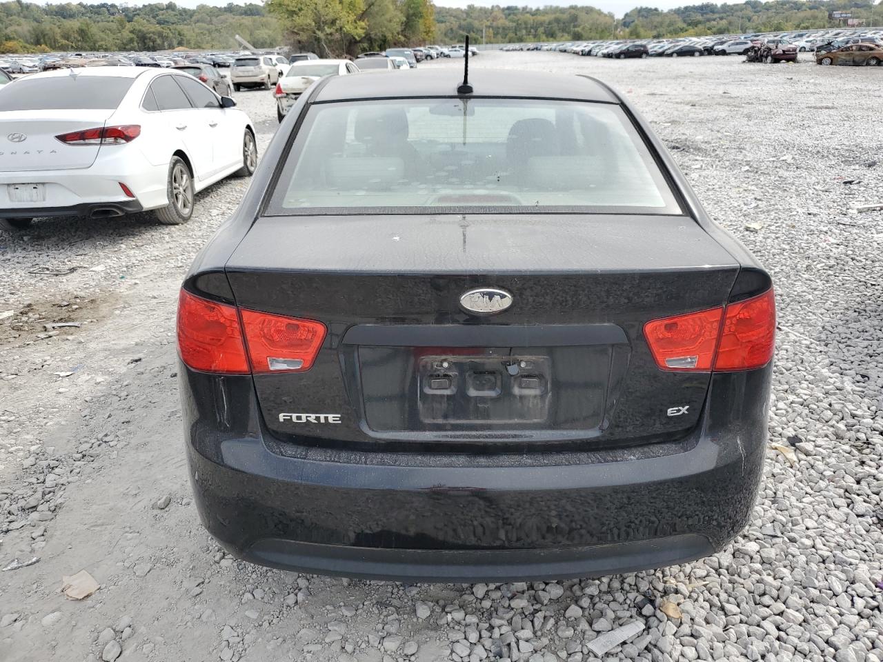 2010 Kia Forte Ex VIN: KNAFU4A24A5862547 Lot: 87409865