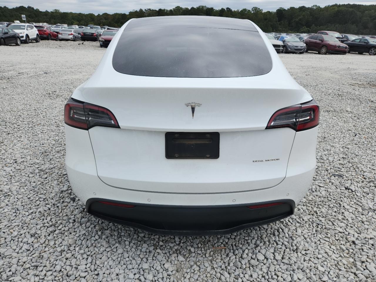 2021 Tesla Model Y VIN: 5YJYGAEE0MF299067 Lot: 85843355