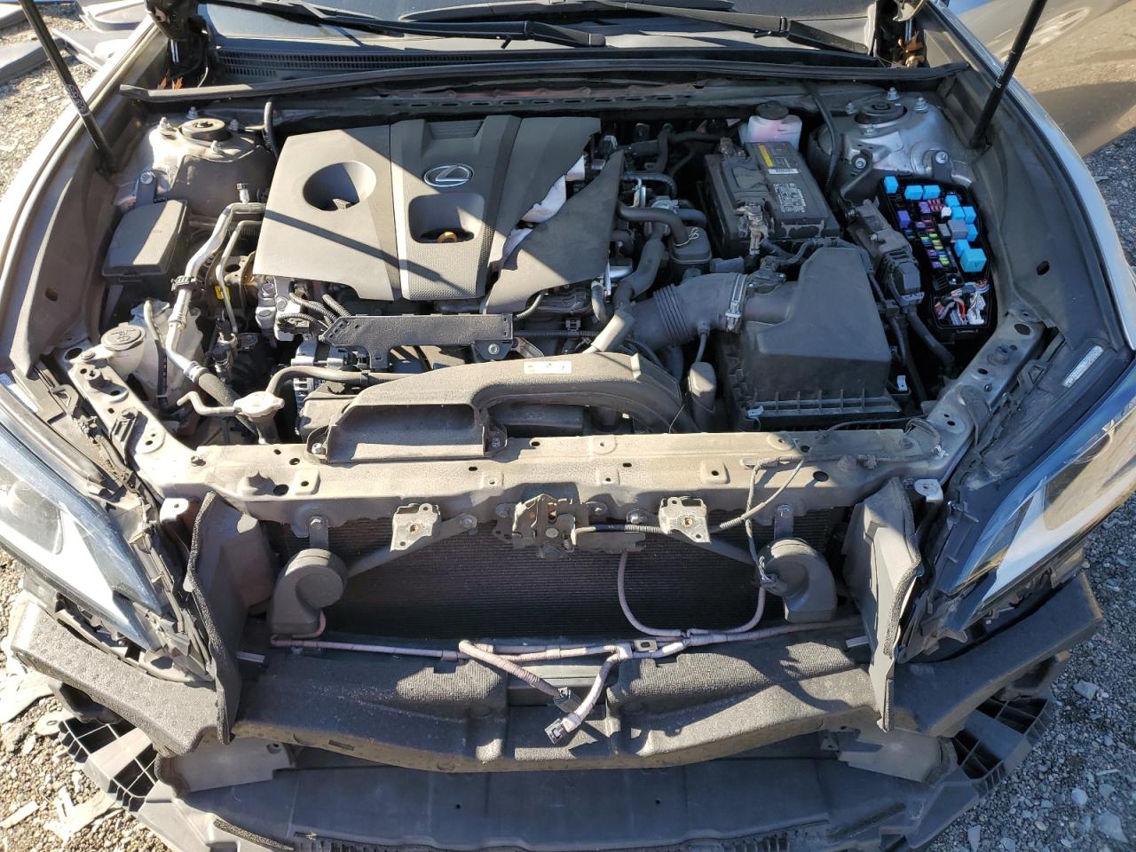 2021 Lexus Es 250 Base VIN: 58AD11D12MU004951 Lot: 82409615