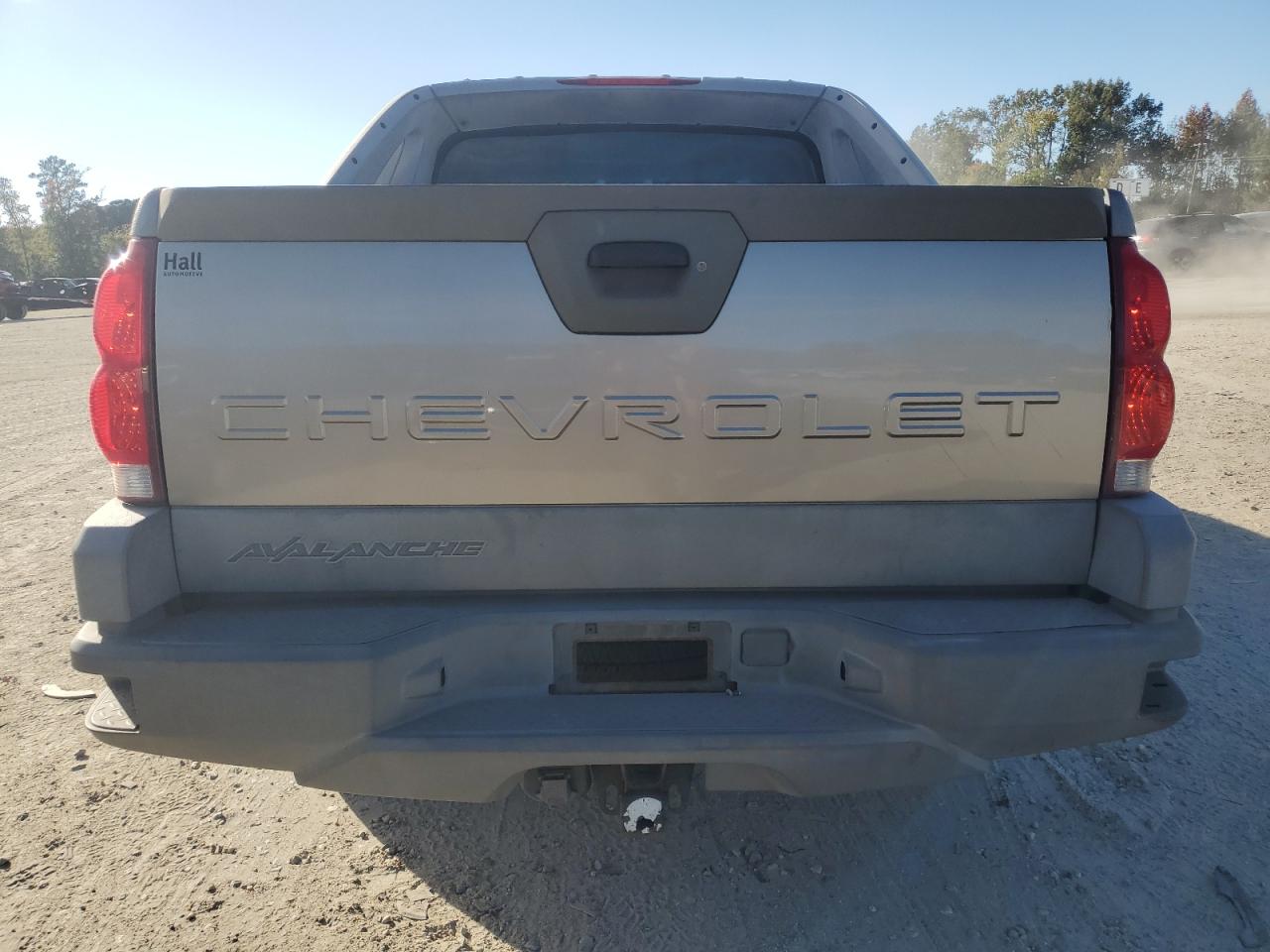 2002 Chevrolet Avalanche C1500 VIN: 3GNEC13T12G335928 Lot: 87374875