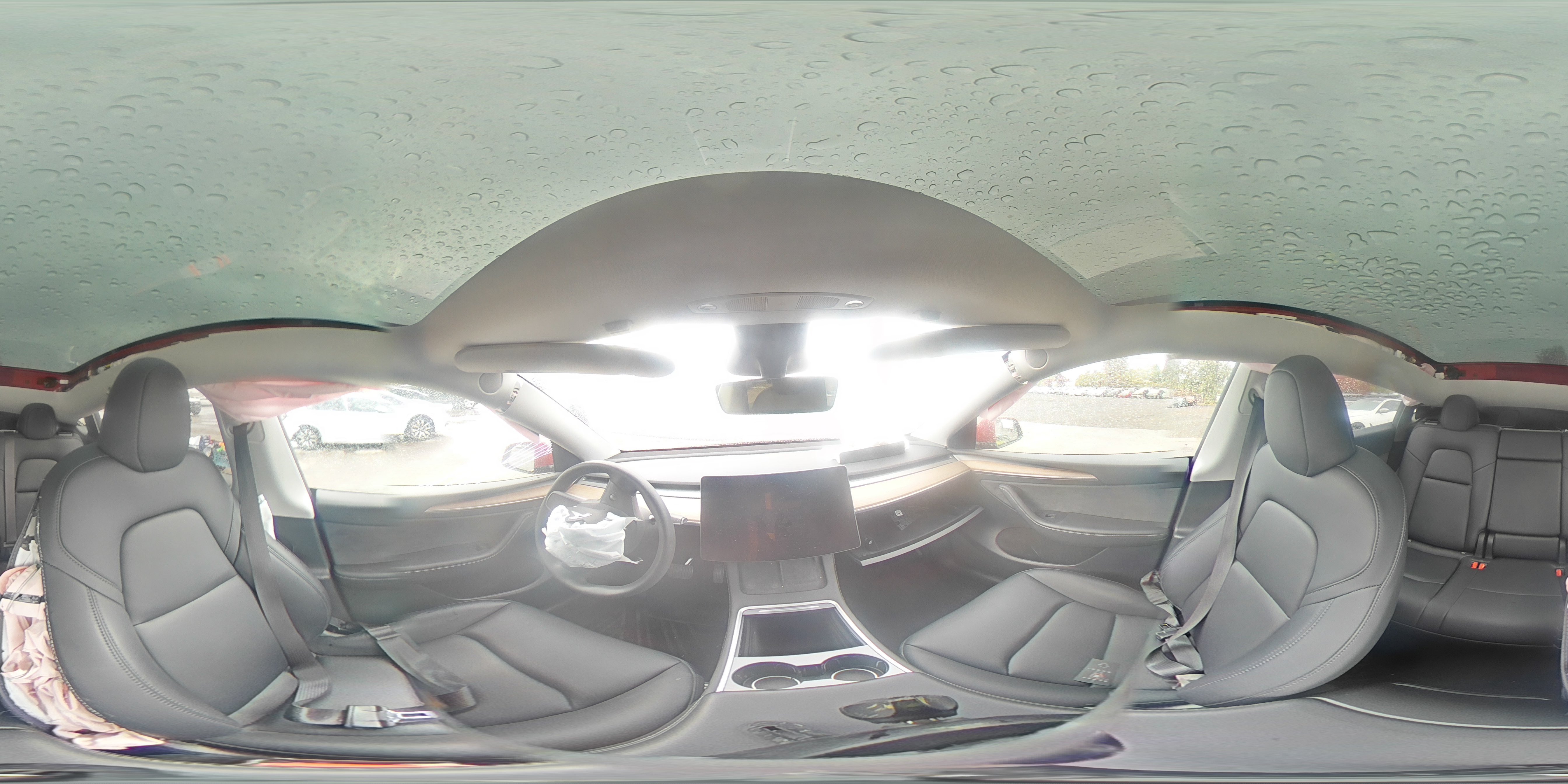 2023 Tesla Model Y VIN: 7SAYGDEE6PF806692 Lot: 86134445