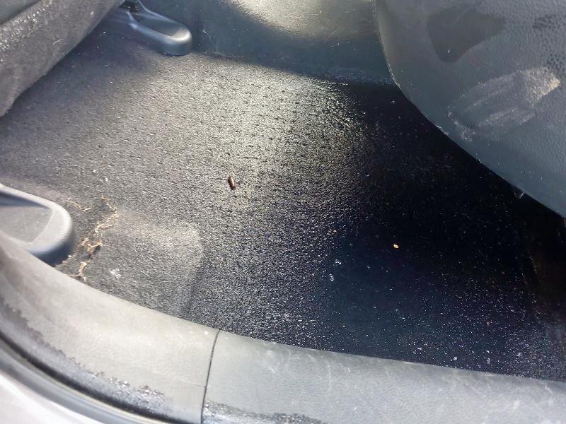 2013 HONDA CIVIC 1.8 I-VTEC EX GT 5DR