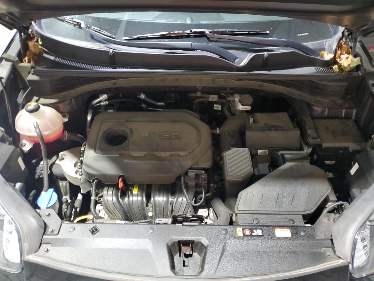 2021 Kia Sportage S VIN: KNDP6CAC9M7916082 Lot: 85586745