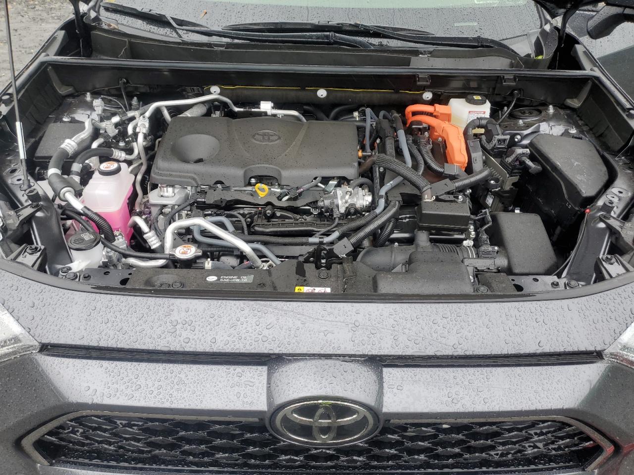 2025 Toyota Rav4 Xse VIN: JTMEB3FV1SD256454 Lot: 85818455