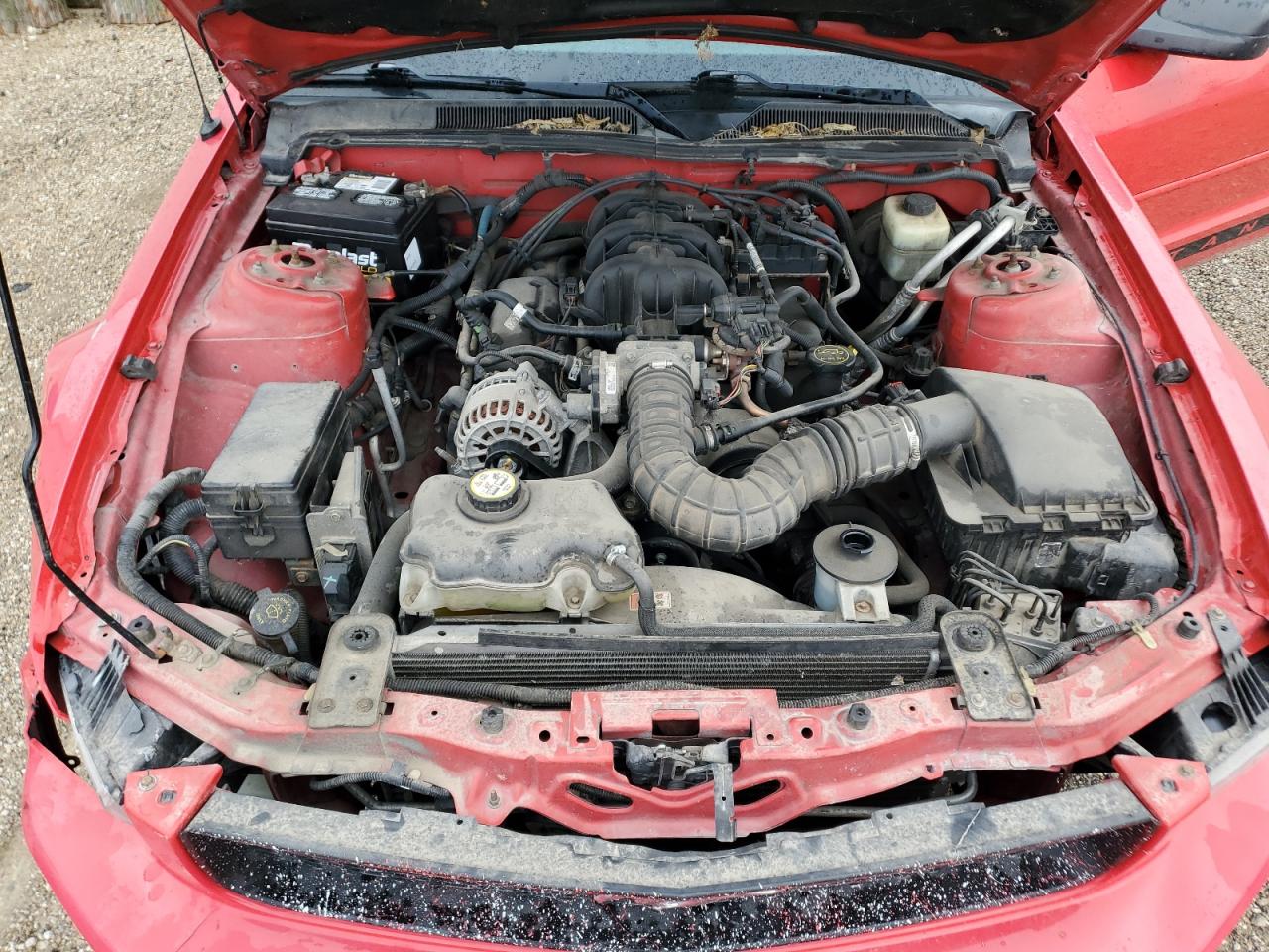 2007 Ford Mustang VIN: 1ZVFT80N375211702 Lot: 86709635