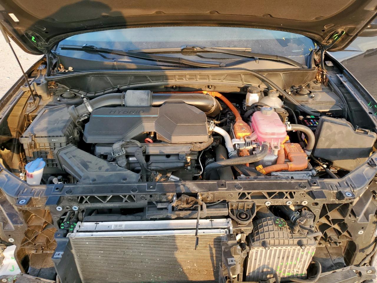 2024 Hyundai Tucson Blue VIN: KM8JBCD10RU211008 Lot: 84718805