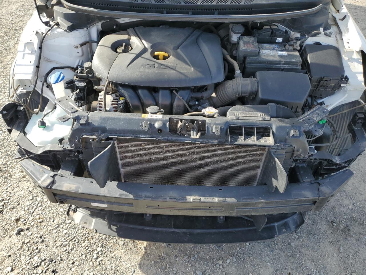 2017 Kia Forte Lx VIN: KNAFK5A8XH5705549 Lot: 91092045