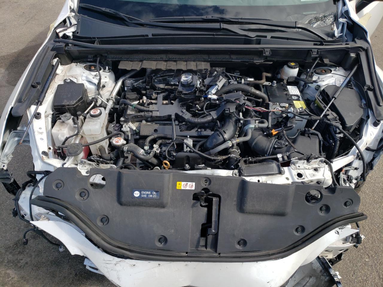 2023 Lexus Nx 350 VIN: 2T2GGCEZ5PC019884 Lot: 82348065