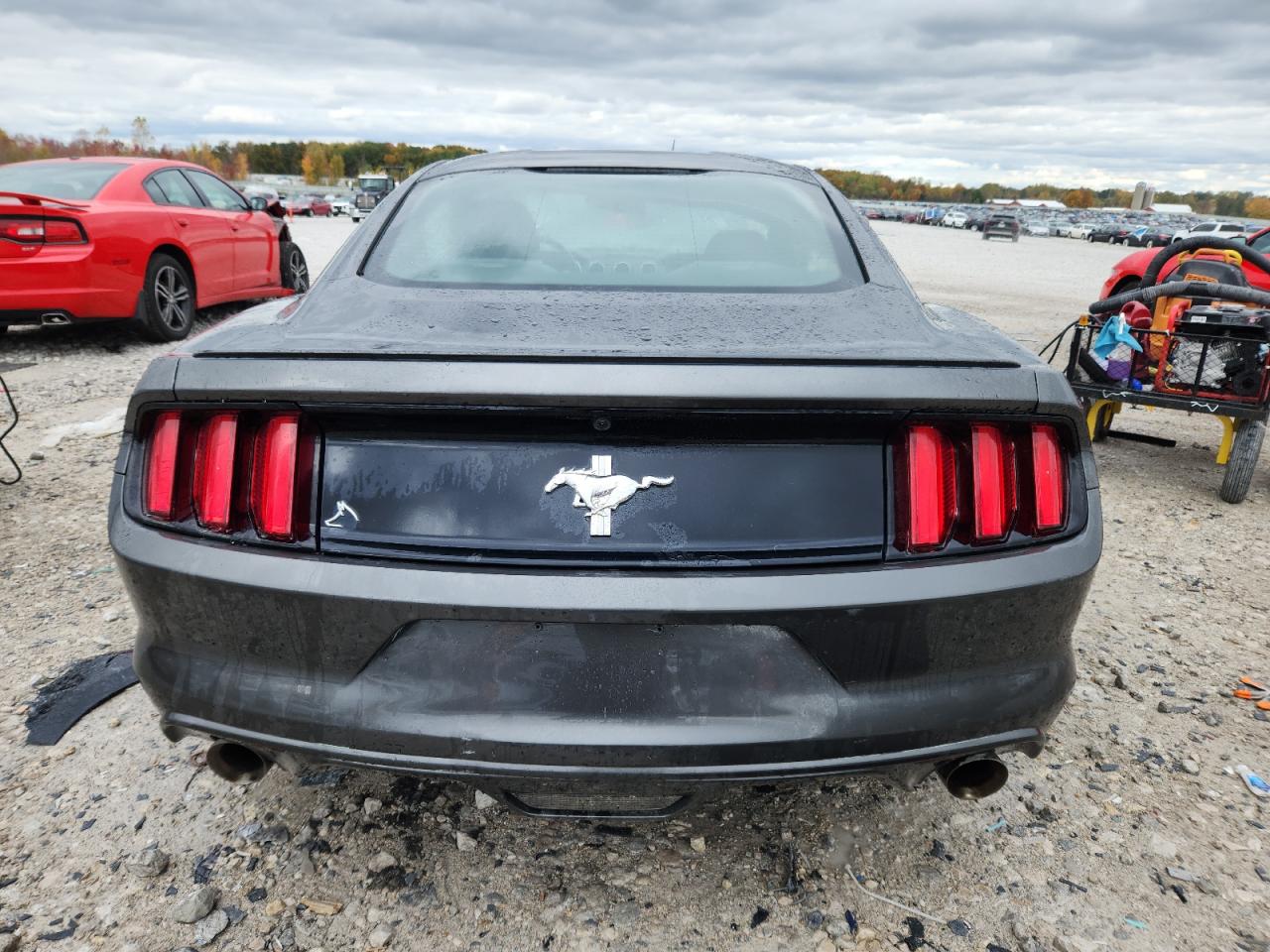 2015 Ford Mustang VIN: 1FA6P8AM8F5362228 Lot: 89670215