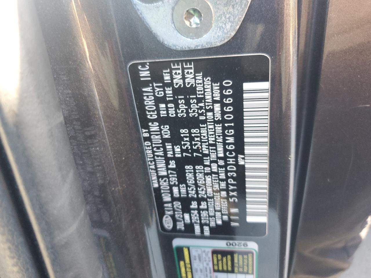 2021 Kia Telluride Ex VIN: 5XYP3DHC6MG106660 Lot: 85861135