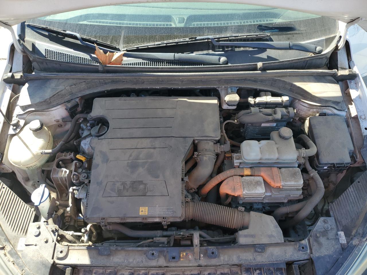 2018 Hyundai Ioniq Blue VIN: KMHC65LC8JU060869 Lot: 82252655